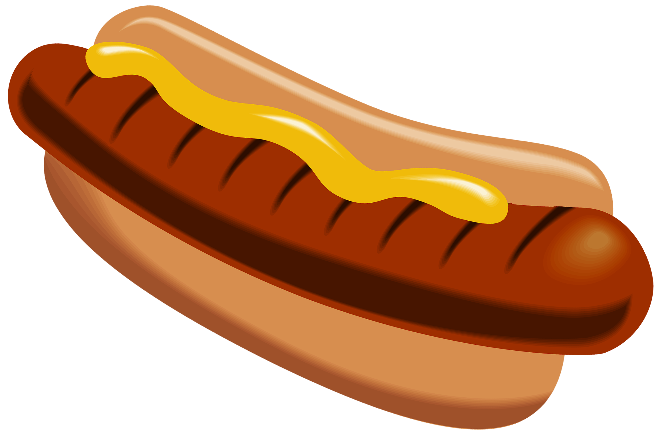 Hotdog clipart sausage bun. Hot dog hamburger clip