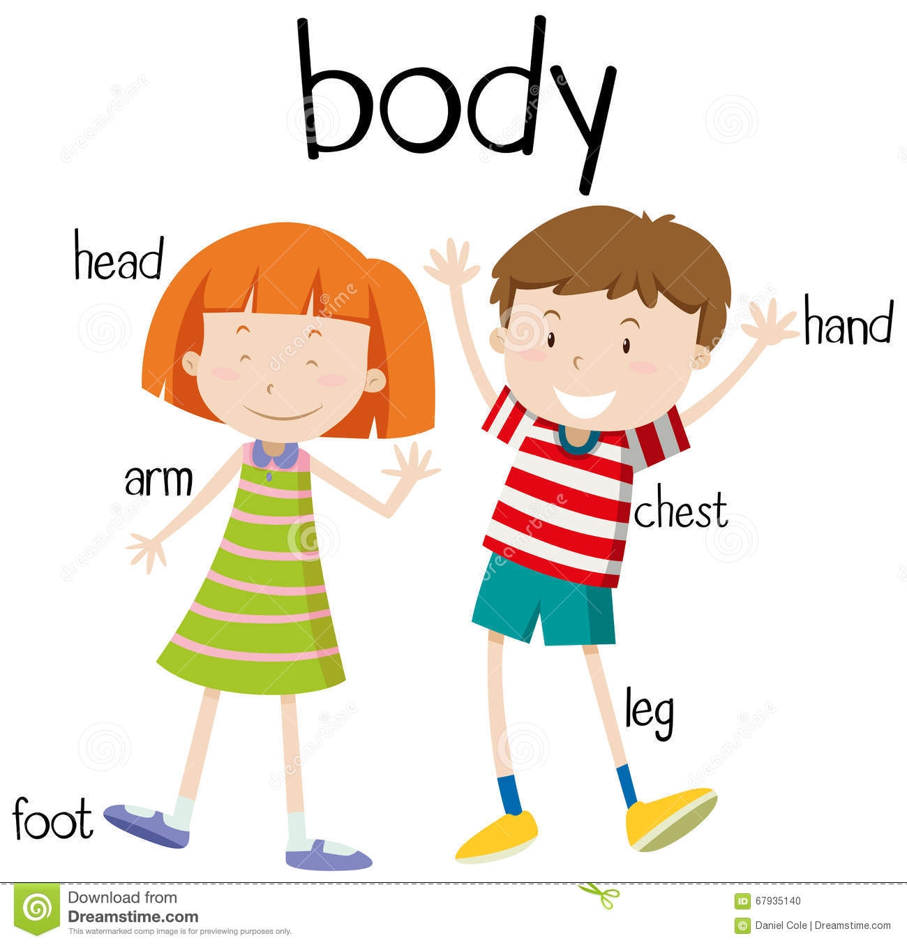 humans clipart whole body