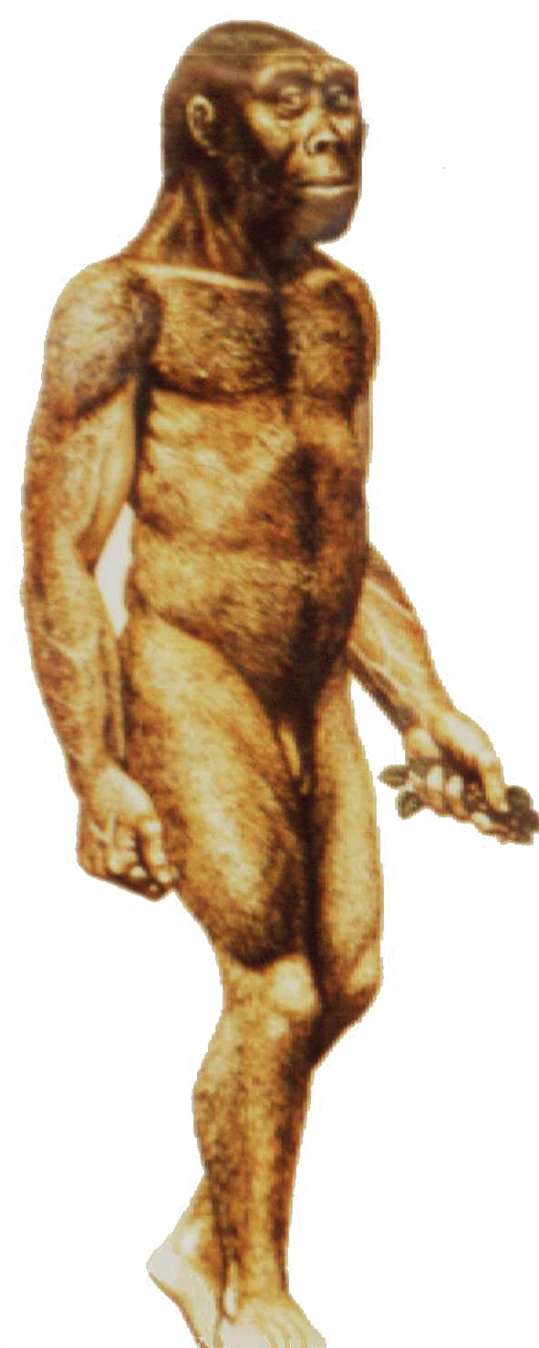human clipart neanderthal man