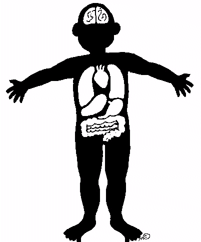 Free human cliparts download. Humans clipart presence