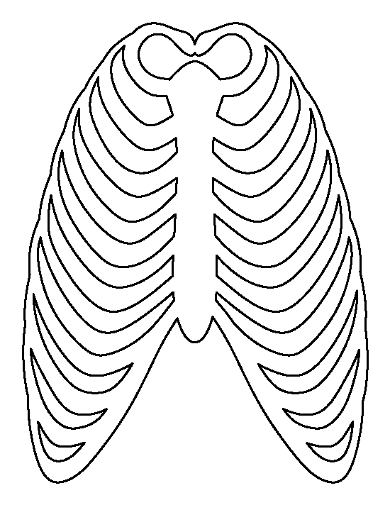 human clipart ribcage