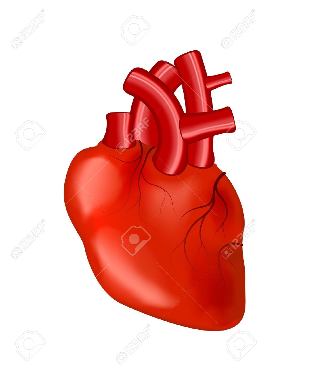 humans clipart hart