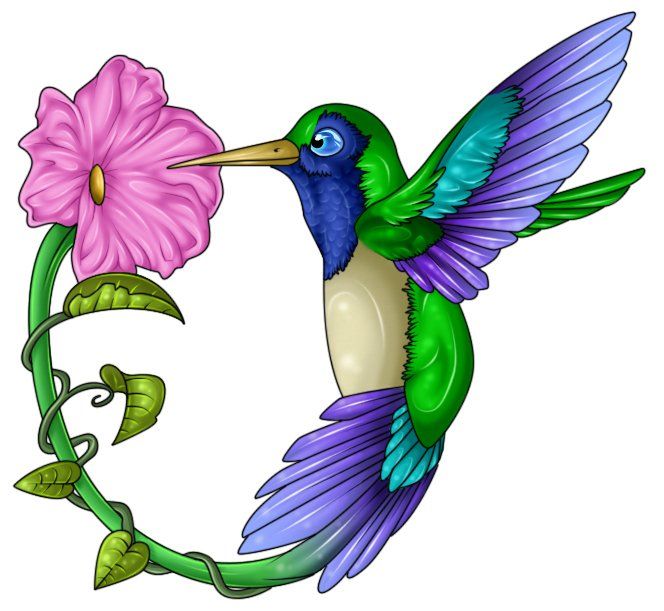 And flower at getdrawings. Hummingbird clipart