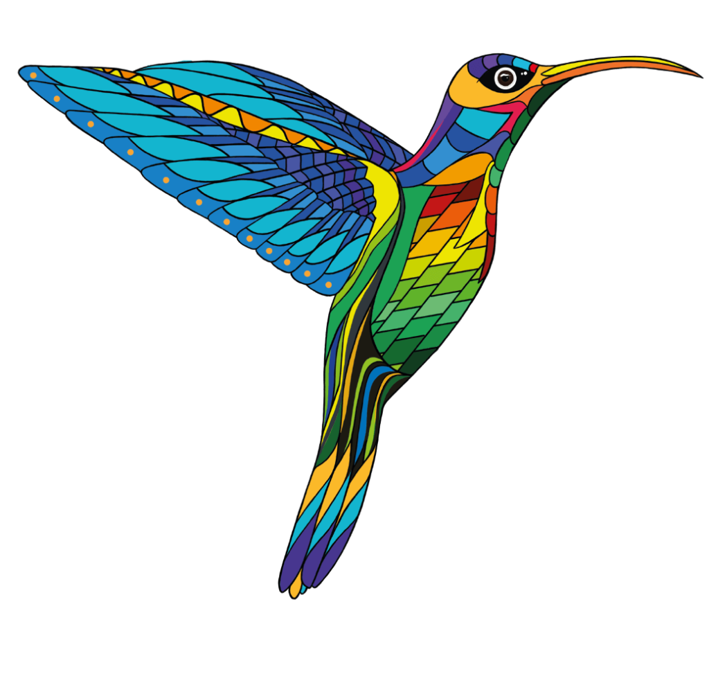 Hummingbird animal amazon rainforest