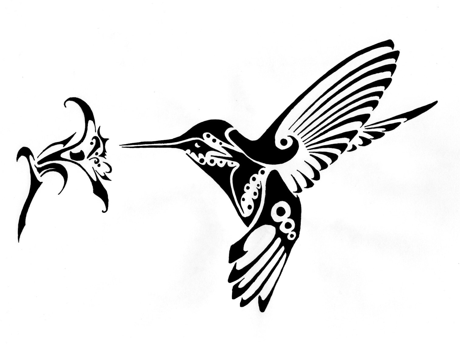 hummingbird clipart black and white