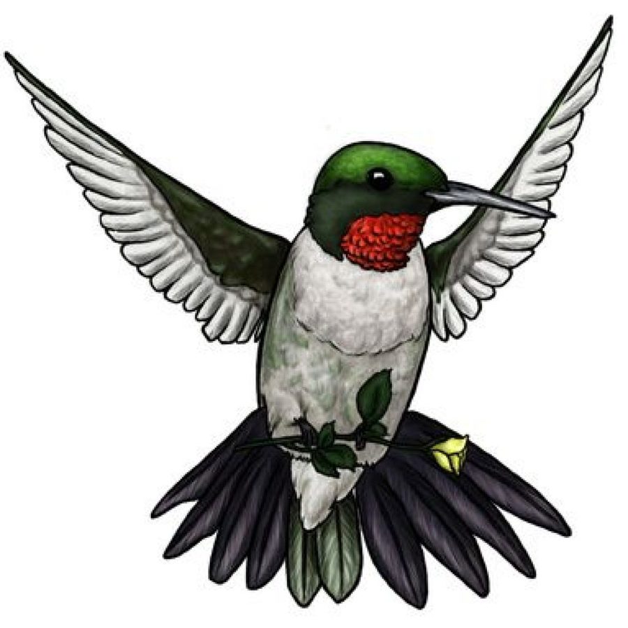 Cartoon Hummingbird Tattoo - Hummingbird clipart flash art, Hummingbird