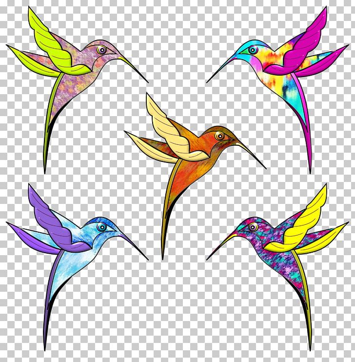 hummingbird clipart color