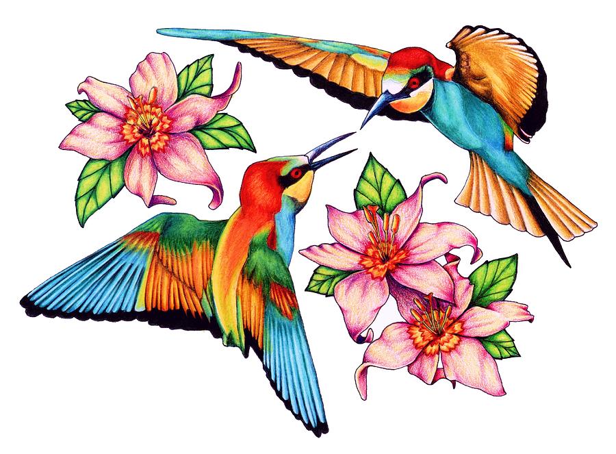 hummingbird clipart colorful hummingbird