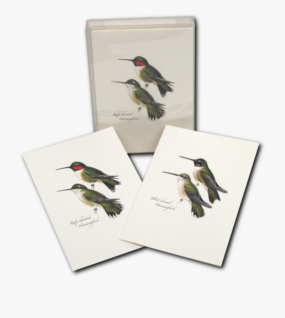 Hummingbird clipart colourful bird. Humming png ruby throated