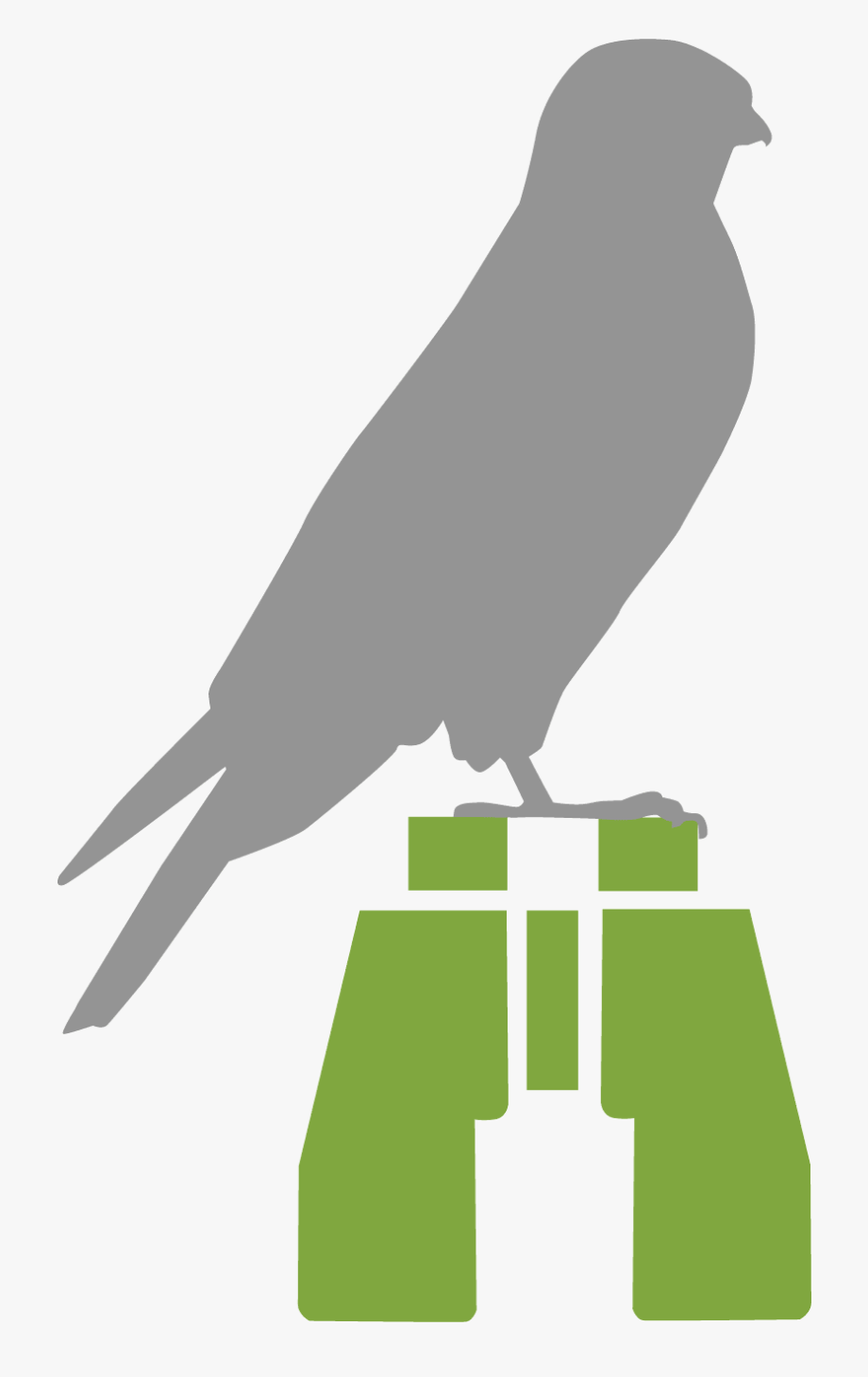 hummingbird clipart colourful bird