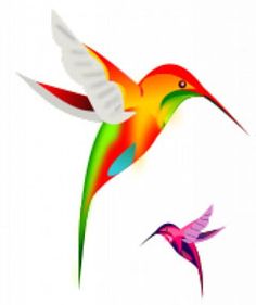 hummingbird clipart colourful bird