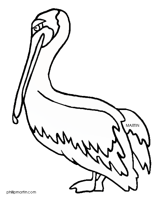 hummingbird clipart colouring page