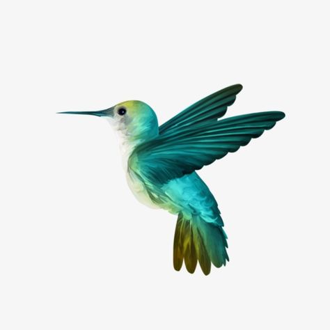 Hummingbird clipart cute. Pinterest 