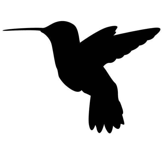 hummingbird clipart decal