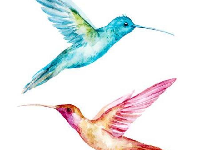 hummingbird clipart easter