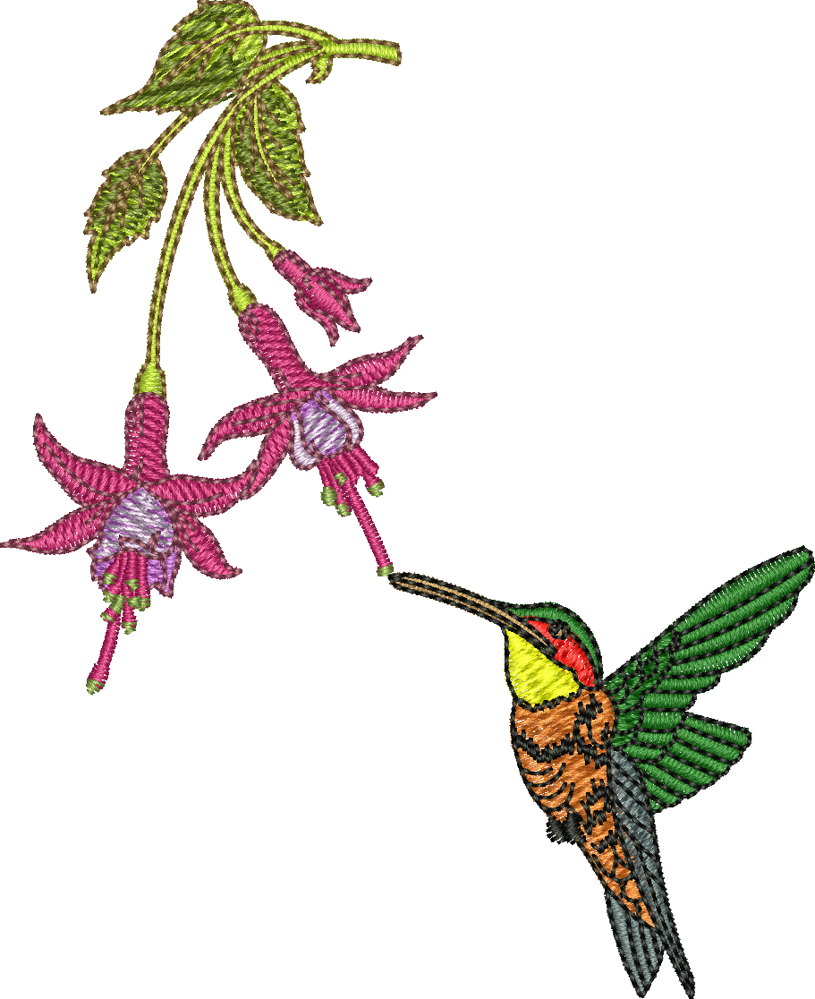 hummingbird clipart embroidery digitizing
