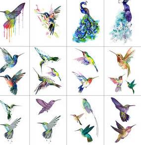 hummingbird clipart flash art