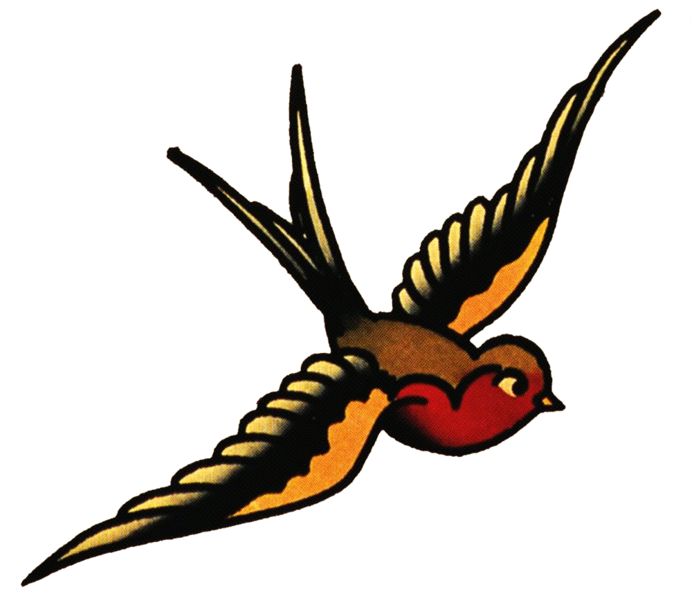 Hummingbird flash