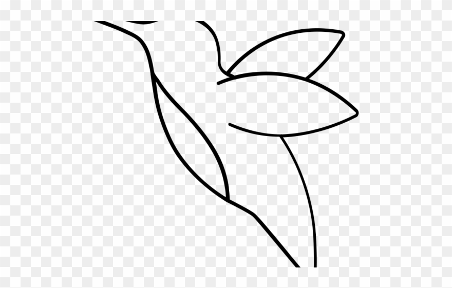 hummingbird clipart flower drawing