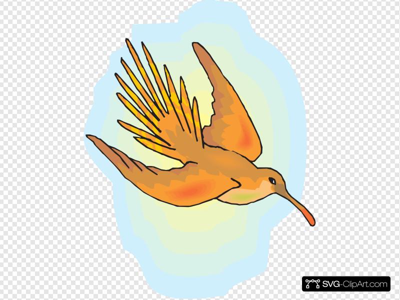 hummingbird clipart flying