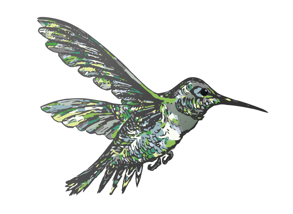 hummingbird clipart flying
