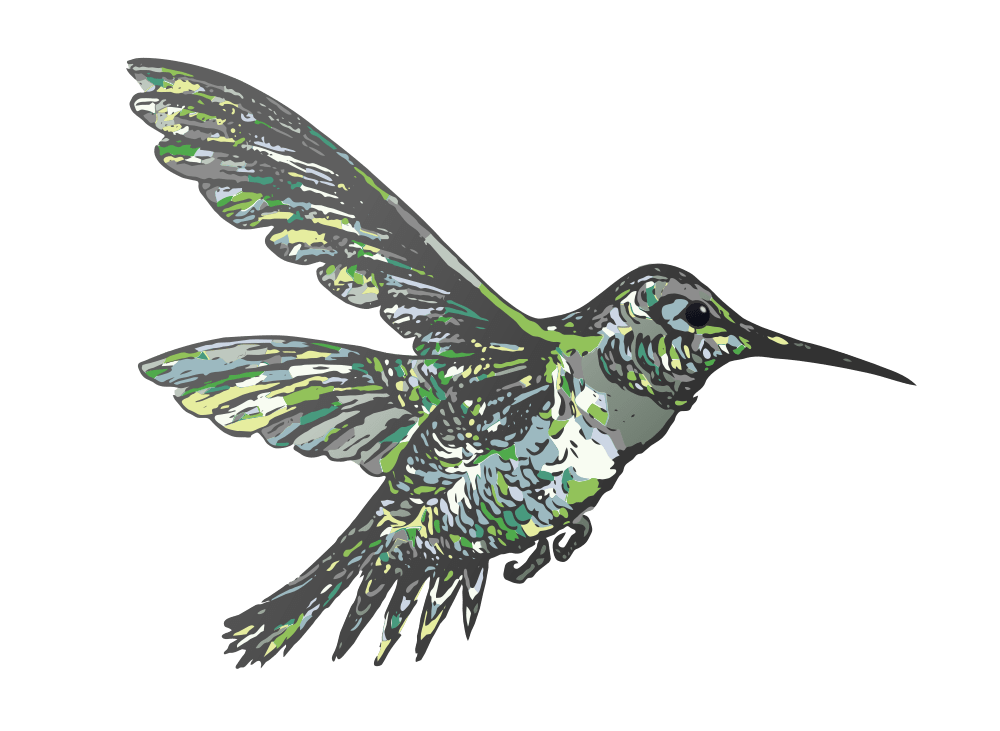 Download Hummingbird clipart flying, Hummingbird flying Transparent FREE for download on WebStockReview 2021