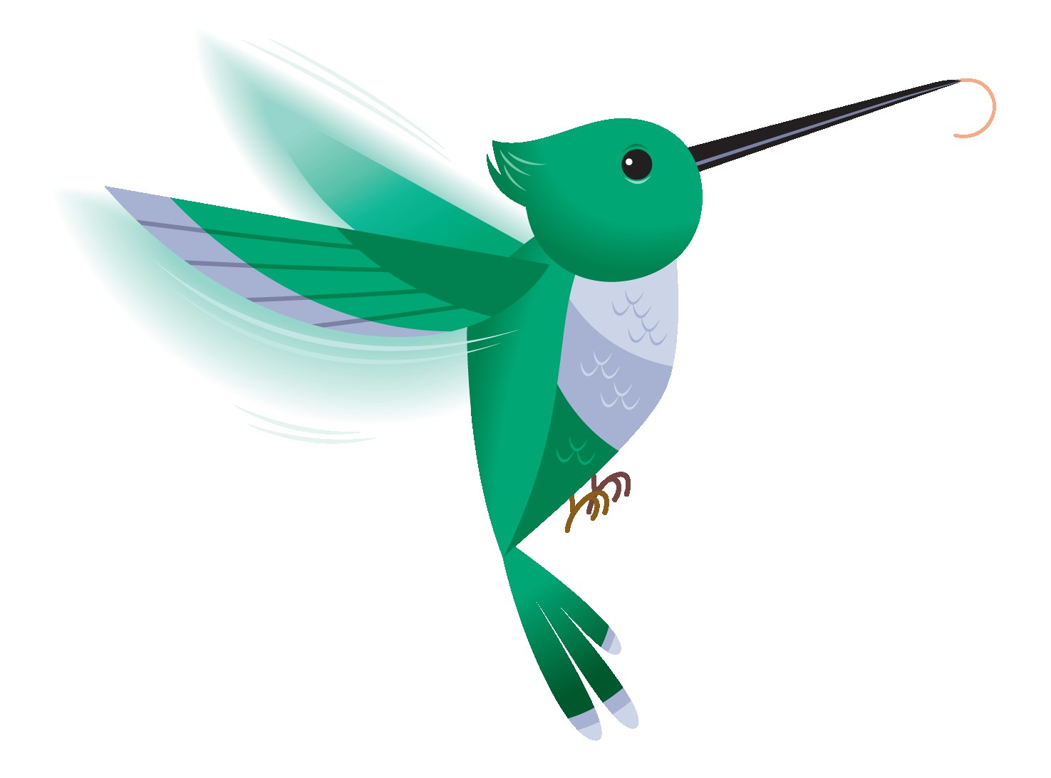 hummingbird clipart free vector