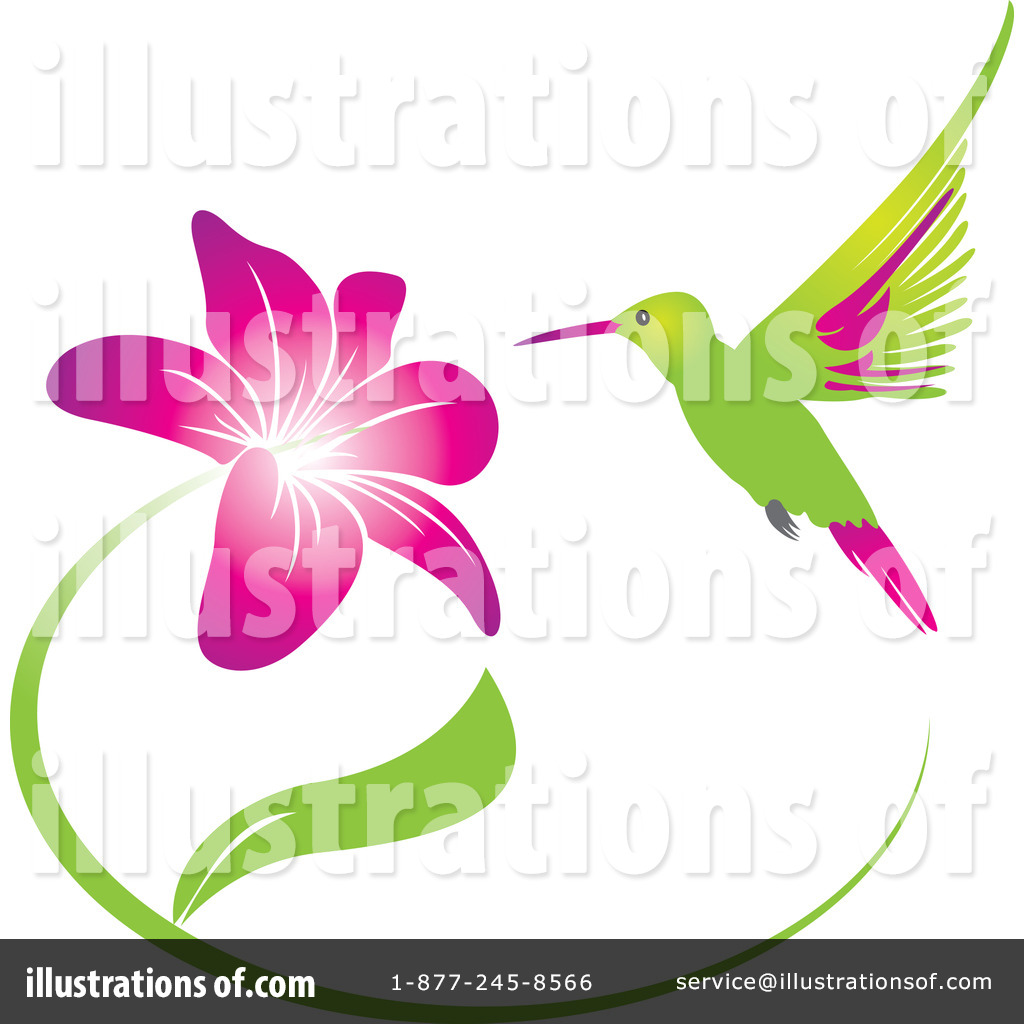 hummingbird clipart illustration