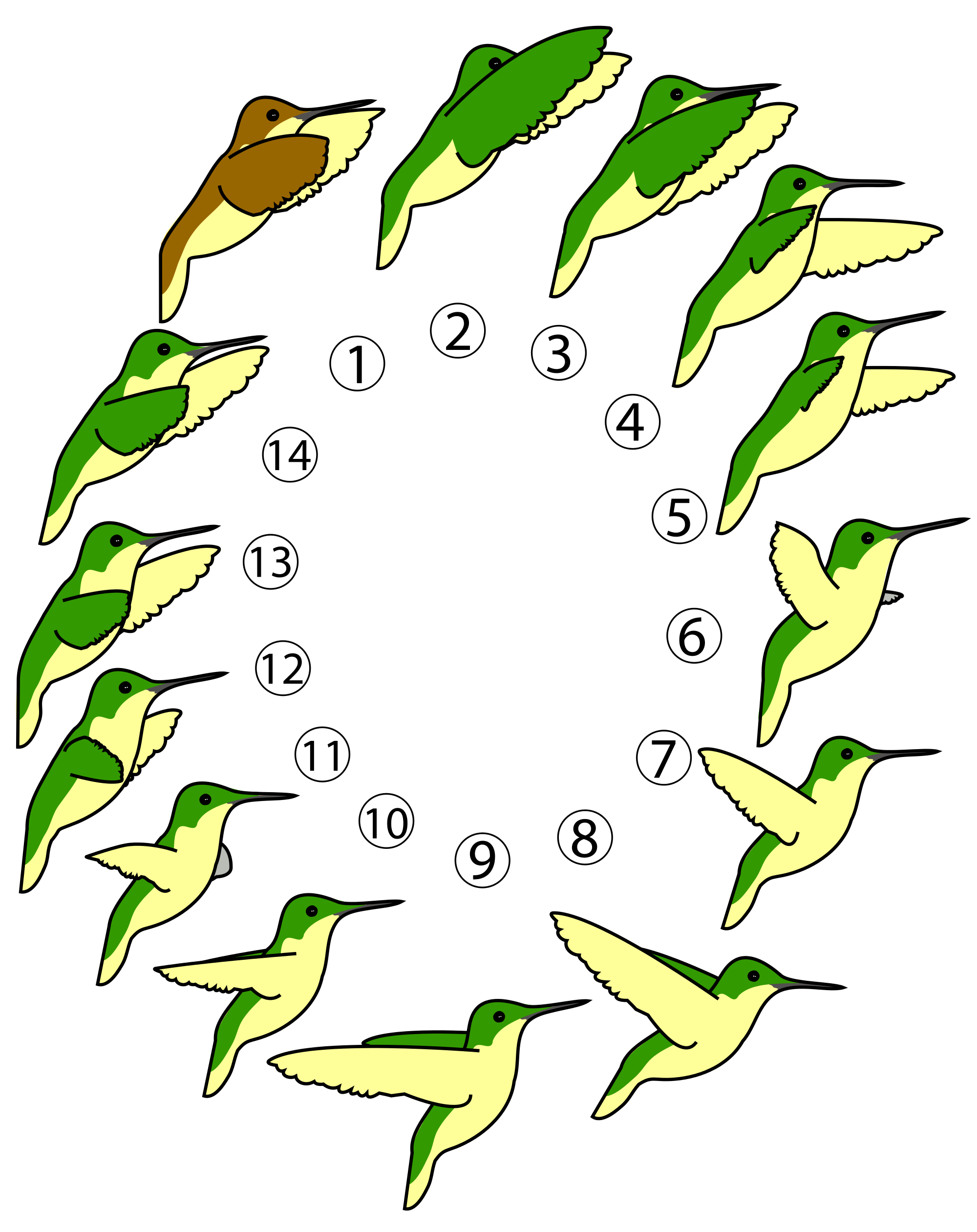 File profil svg wikimedia. Hummingbird clipart in flight