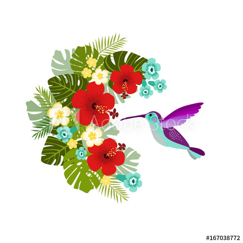 Hummingbird clipart jungle flower. Flying drinking nectar from
