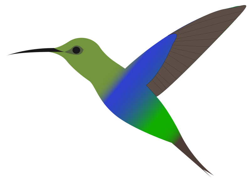 hummingbird clipart maori