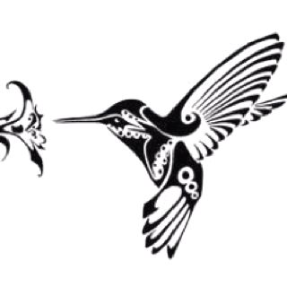 Mix i am humingbird. Hummingbird clipart maori