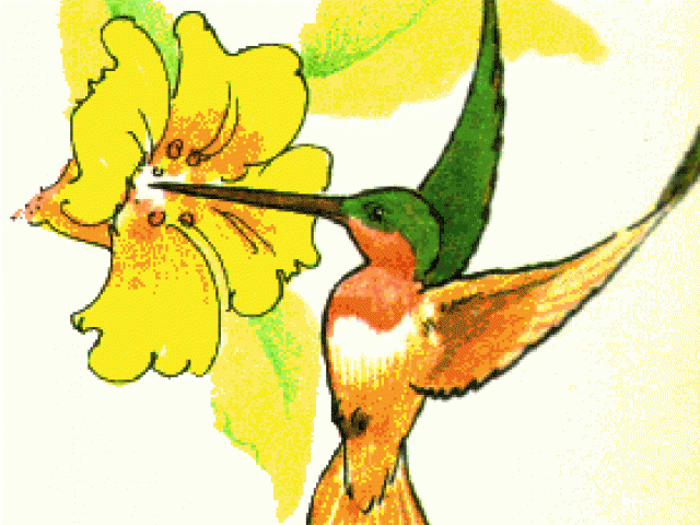 hummingbird clipart nectar