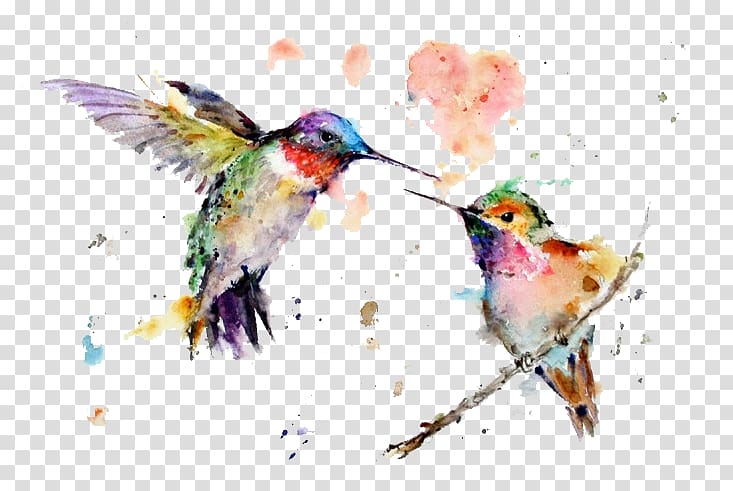 hummingbird clipart painting