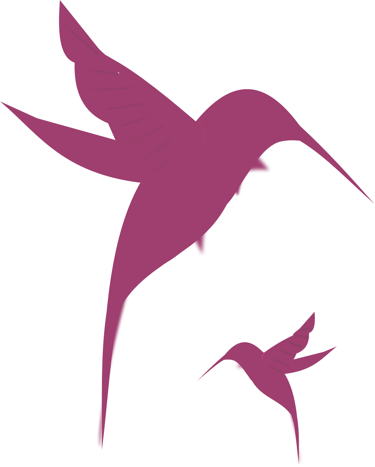 Hummingbird pink