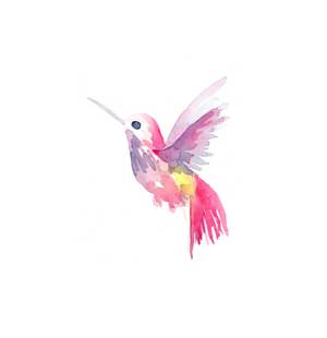 hummingbird clipart pink
