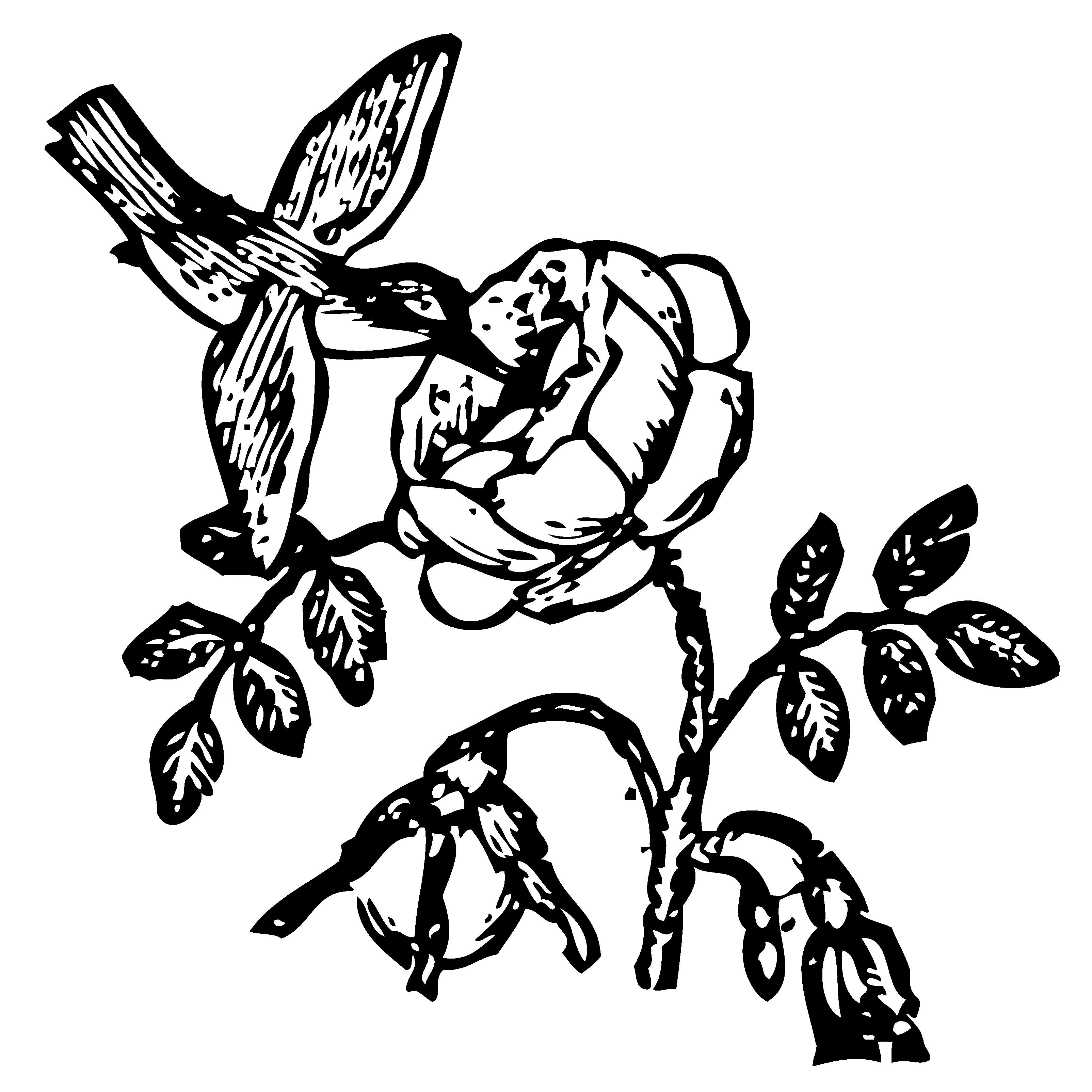 Hummingbird clipart public domain. Bowen mother goose free