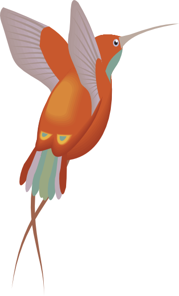 Free to use clip. Hummingbird clipart public domain