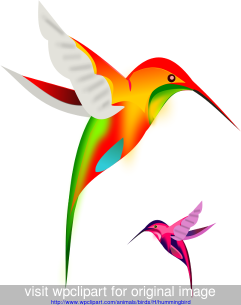 hummingbird clipart public domain