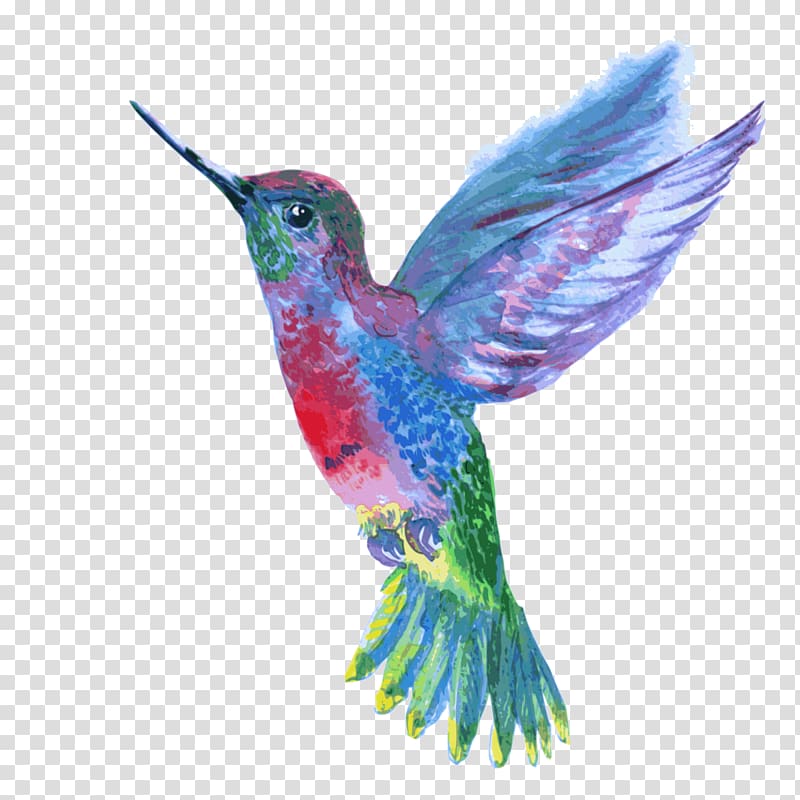 Hummingbird clipart purple hummingbird, Hummingbird purple hummingbird