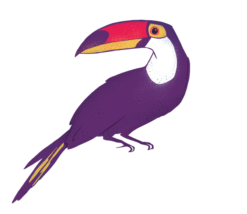 Rainforest clipart rainforest toucan. About amaz nia font