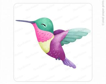 Hummingbird clipart real. Etsy 