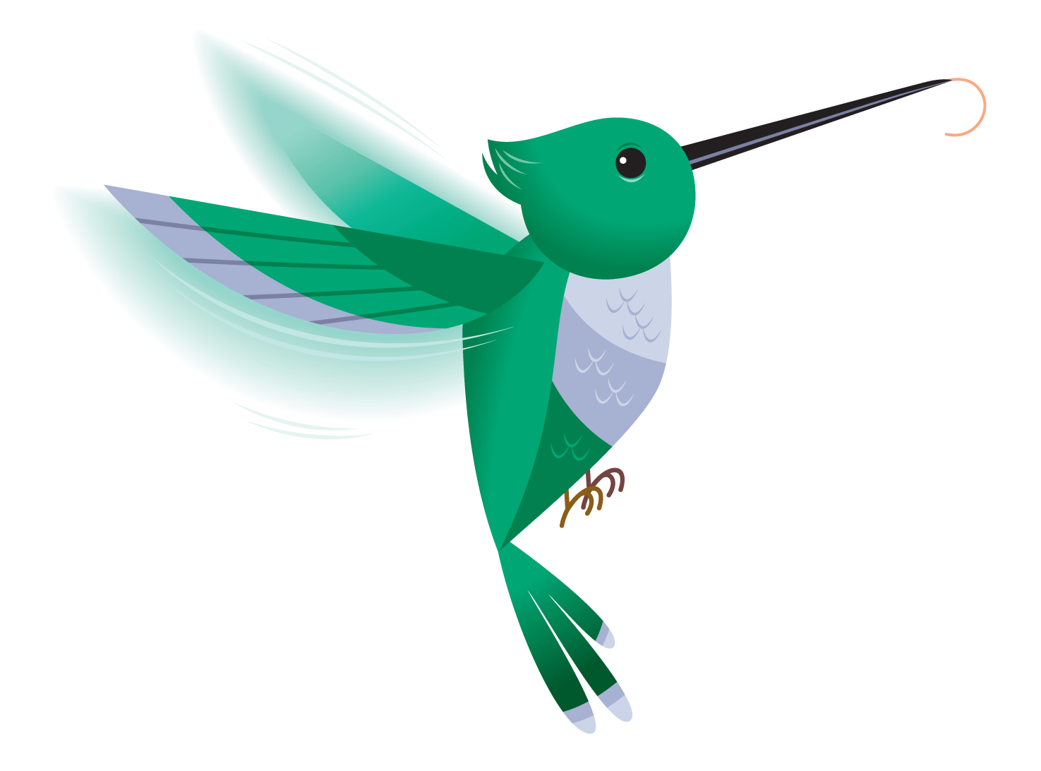 hummingbird clipart realistic