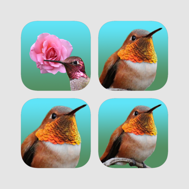 hummingbird clipart robin