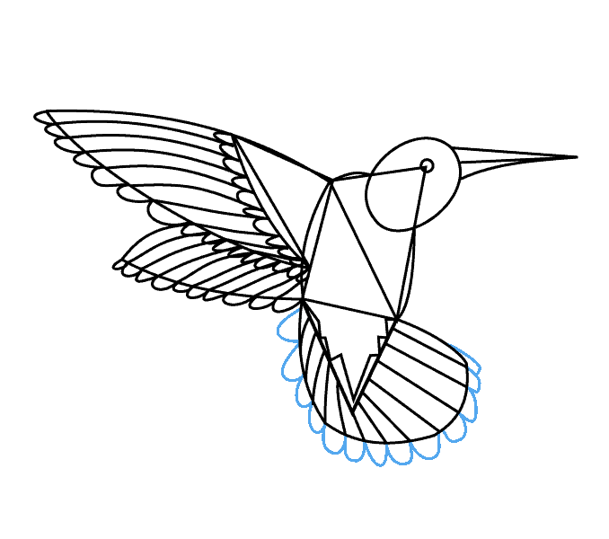 hummingbird clipart simple