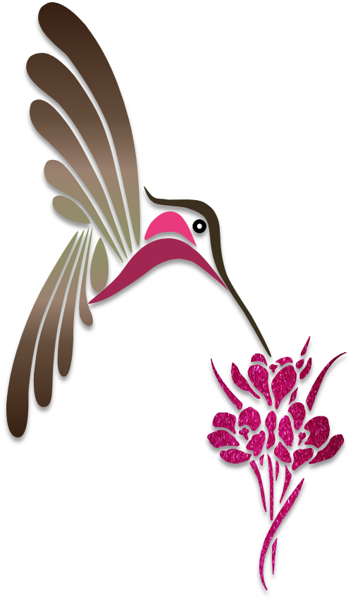 Hummingbird clipart simple. Humming birds illustration art