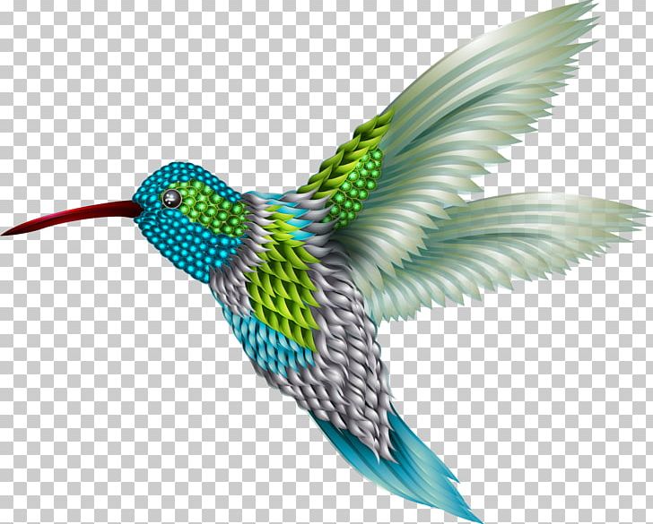 hummingbird clipart sparrow