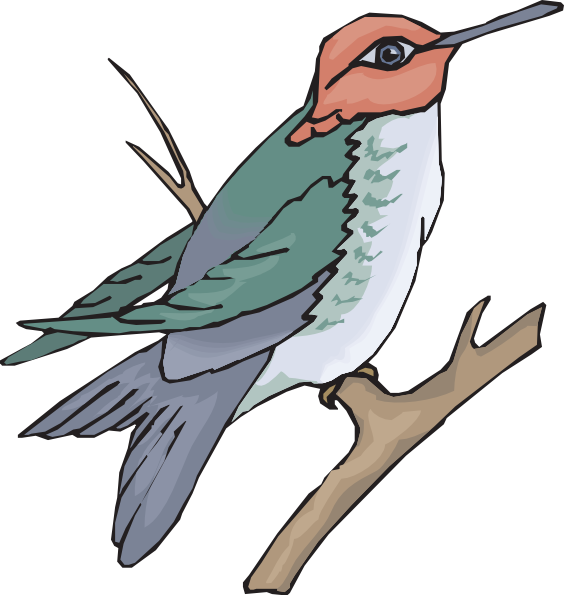 hummingbird clipart sunbird