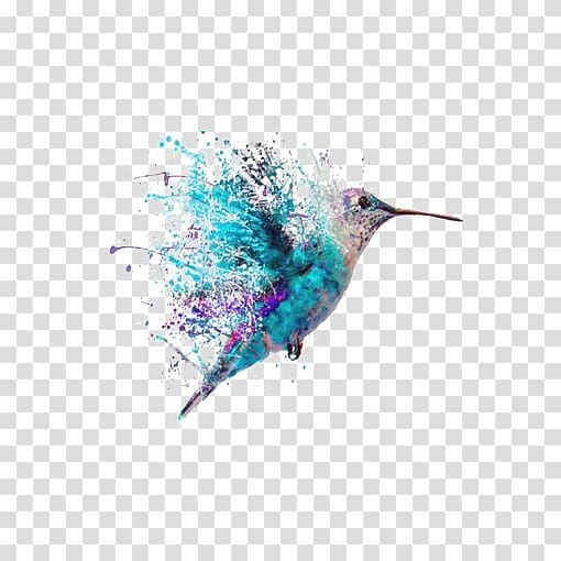 hummingbird clipart teal