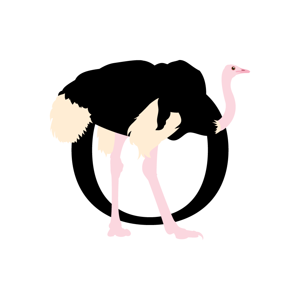 ostrich clipart diagram